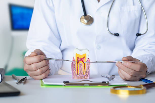 Best Broken or Cracked Tooth Emergency Dentist in Chain Lake, WA